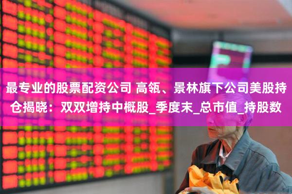 最专业的股票配资公司 高瓴、景林旗下公司美股持仓揭晓：双双增持中概股_季度末_总市值_持股数