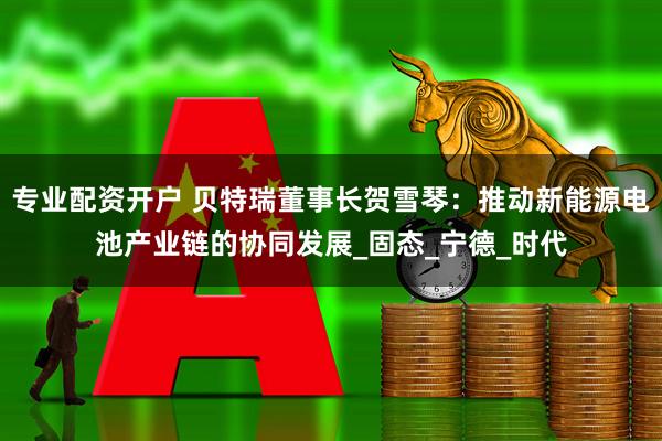 专业配资开户 贝特瑞董事长贺雪琴：推动新能源电池产业链的协同发展_固态_宁德_时代