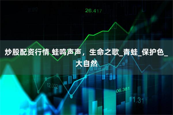 炒股配资行情 蛙鸣声声，生命之歌_青蛙_保护色_大自然
